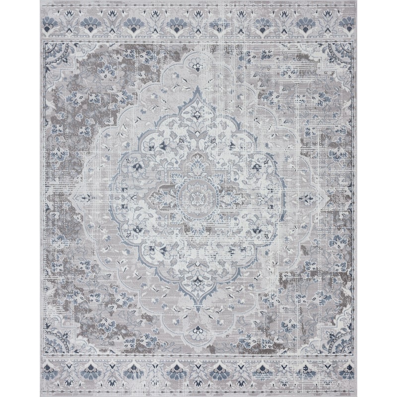 Bohemian Medallion Area Rug or Runner - Rugs for Living Room Bedroom Dining Room Kitchen 2x3 / 2x8 / 4x6 / 5x7 / 8x10 / 9x12