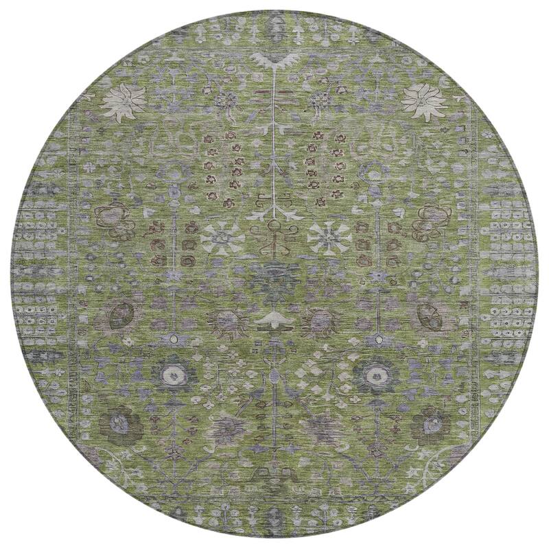Machine Washable Indoor/ Outdoor Traditional Classic Chantille Rug