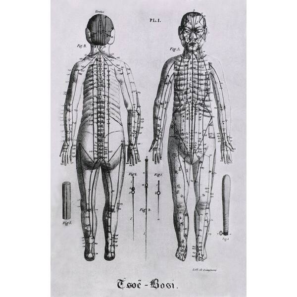 Front And Back Views Of A Human Figure With Numerous Acupuncture Points ...