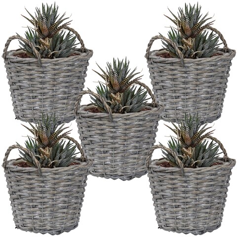 Sunnydaze Set of 5 Willow Wicker Rattan Basket Planters