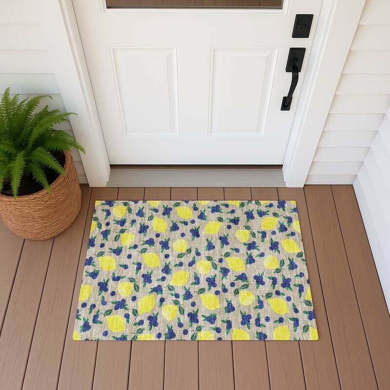 Machine Washable Indoor/ Outdoor Citrus Berry Chantille Rug - Putty - 1'8" x 2'6"