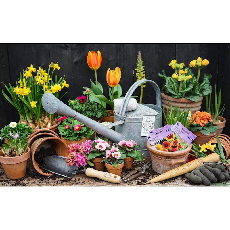 DeWit Tool Gift Set - 3 Piece Bulb Planting - Amaryllis Bulb Planter, Wooden Dibber and Small Forged Trowel,