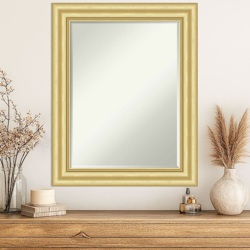 Sophia Half-Inch-Bevel Framed Wall Mirror