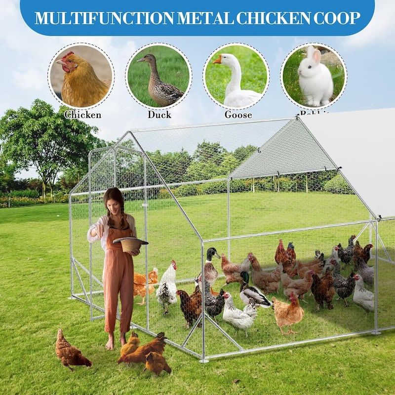 Large Metal Chicken Coop, Walk-in Poultry Hen House, for Chickens, Ducks