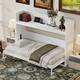Option White