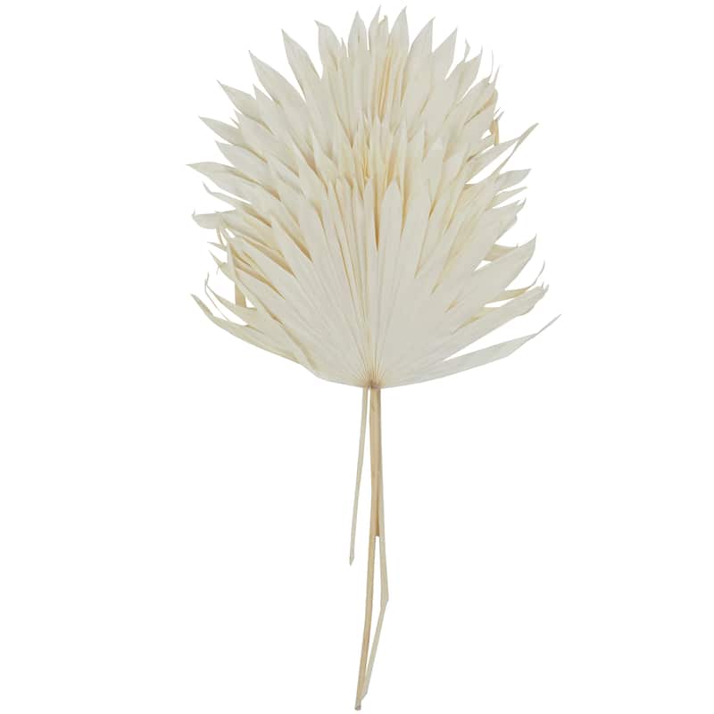 White or Dark Brown Dried Plant Handmade Large Sun Spear Palm Leaf Natural Foliage