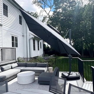 Purple leaf cantilever umbrella clearance