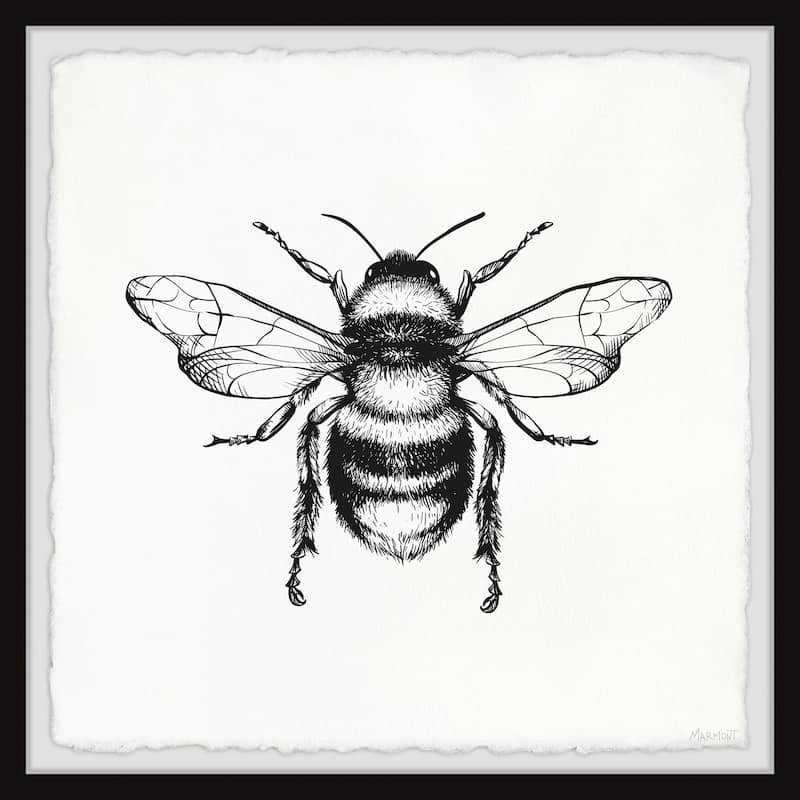 Bee Happy Framed Print
