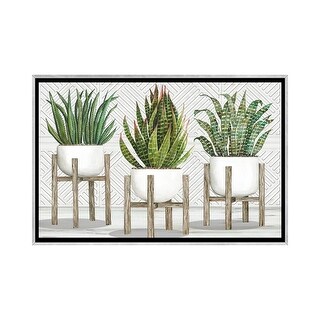 iCanvas "Succulent Trio on Stands" by Cindy Jacobs Framed - Bed Bath ...