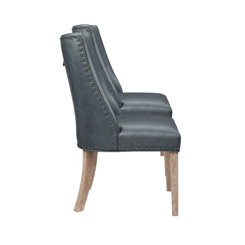 Allard Faux Leather Dining Chairs (Set of 2)