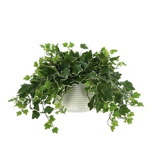 Ivy Plant in a Glass Vase - Green