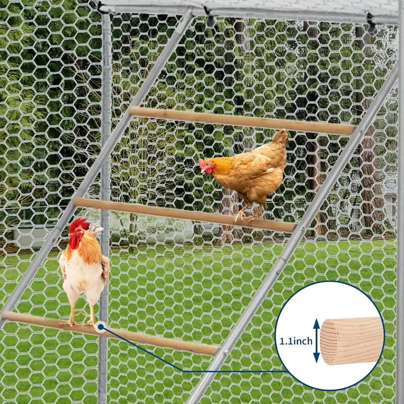 Chickens Roosting Bars for Coop