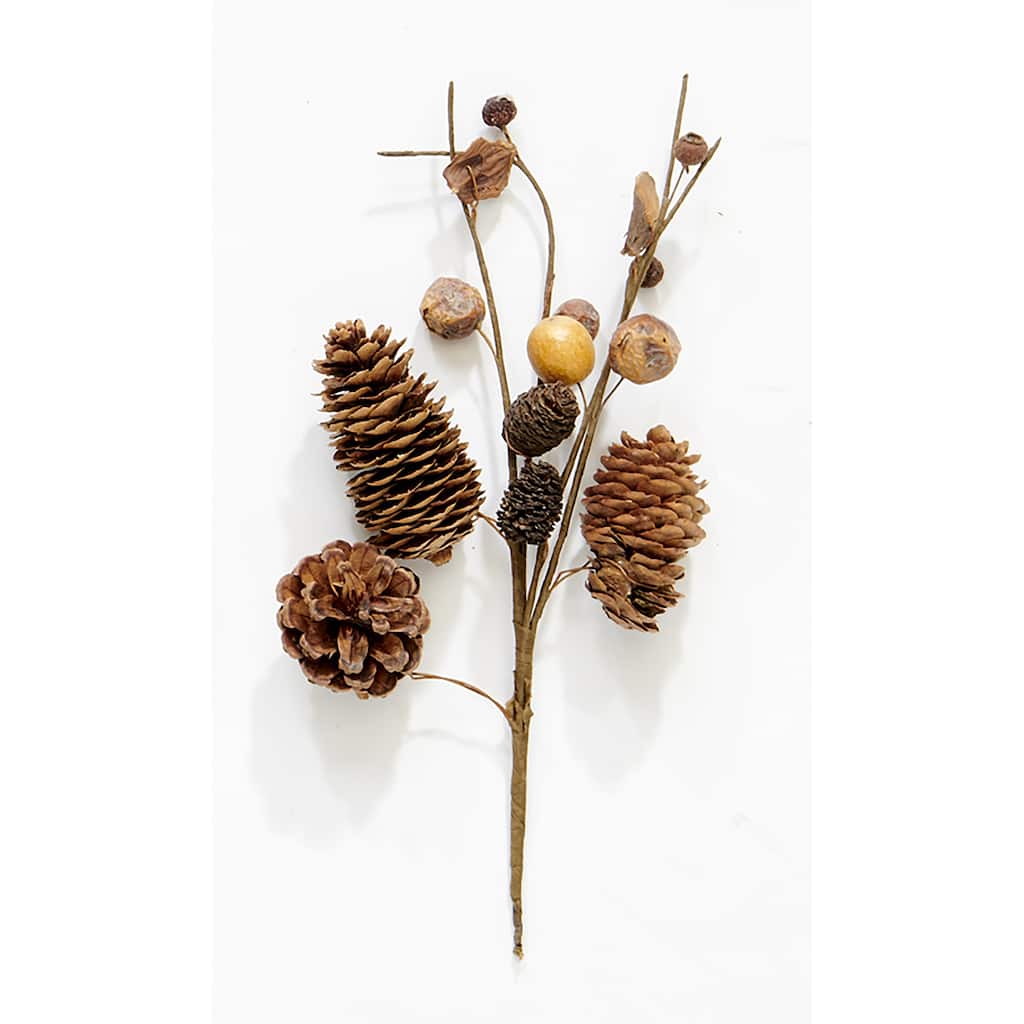10" Pine Cone & Pod Pick, Set f 12 - 10