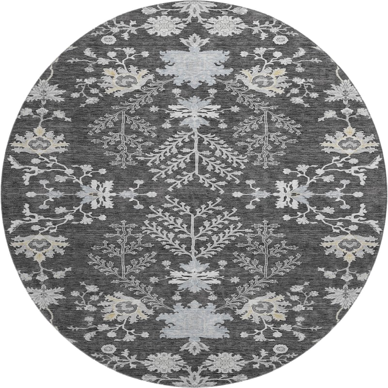 Premium Washable Super Soft Traditional Ozark Mayfield Rug