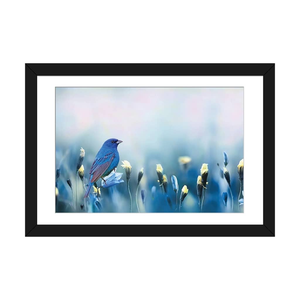 iCanvas "Indigo Bunting Spring" by Laura D Young