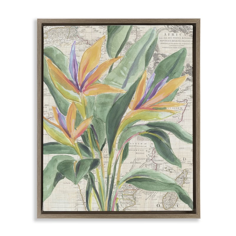 Stupell Bird of Paradise over Map Framed Floater Canvas Wall Art Design By June Erica Vess - 25 x 31 - Brown