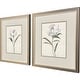 preview thumbnail 2 of 2, Paragon Peony Grand Framed Art - Set of 2
