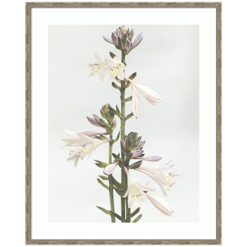 Kate and Laurel Framed Art Hosta by Alicia Abla - 34x42 - Silver