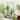 Outsunny Tall Plant Stand with Trellis and Hanging Bar, Metal Plant Holder Flower Stand