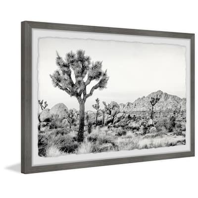 'Joshua Tree National Park' Framed Painting Print