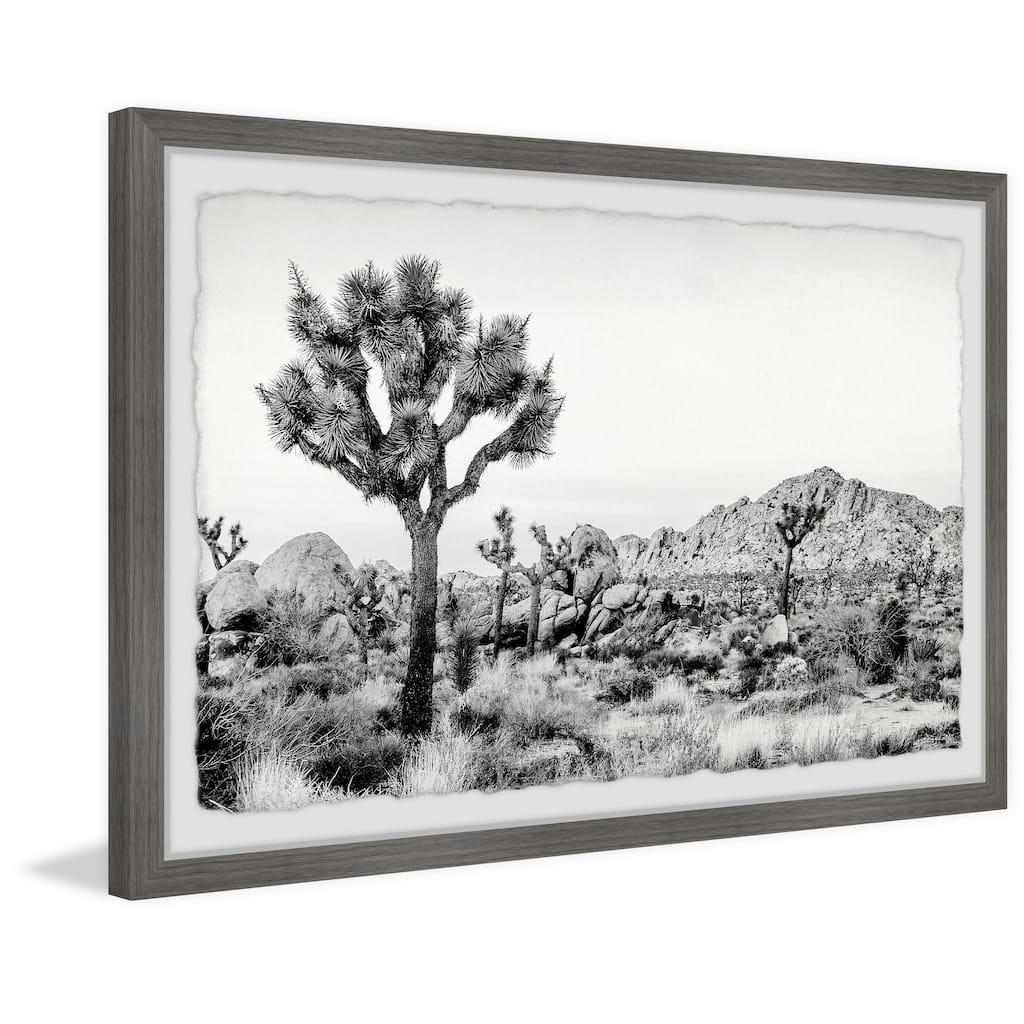 'Joshua Tree National Park' Framed Painting Print