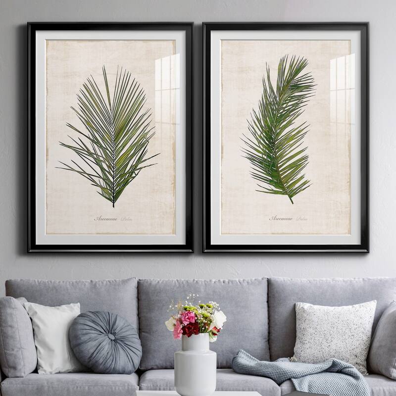 Palm Botanical I Premium Framed Print - Ready to Hang