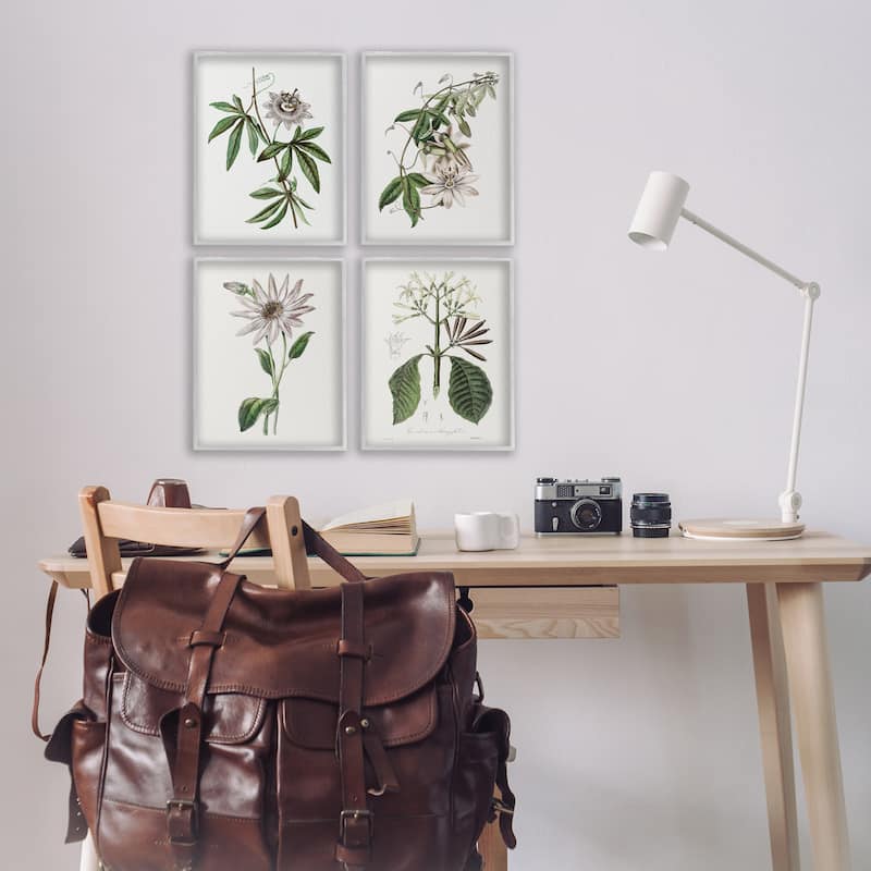 Stupell Various Vintage Botanicals Framed Giclee Art Design By CAD Design (Set of 4)