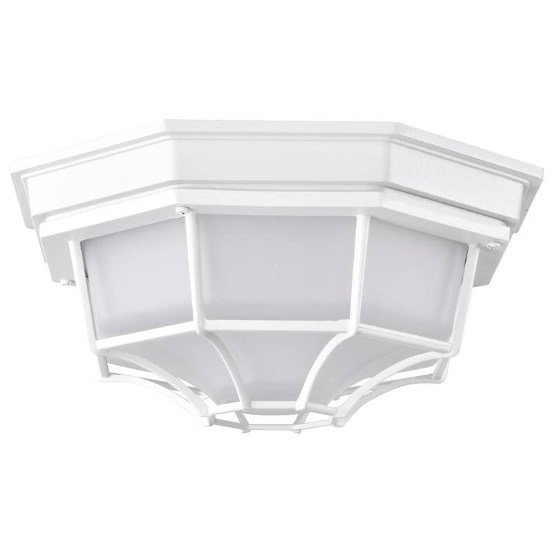 LED Spider Cage Fixture White Finish with Frosted Glass