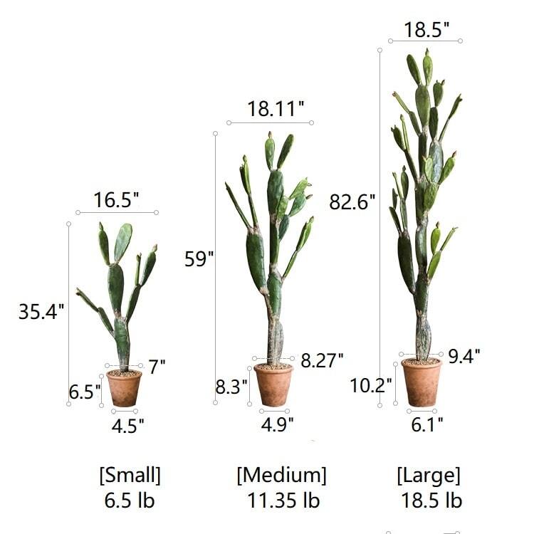 RusticReach Artificial Plant Morelos Cactus - [B]-Medium-59"H