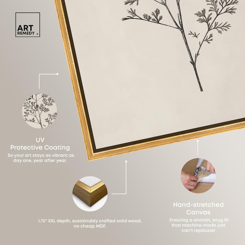 Aniseed Anatomy II Canvas Delicate Floral by Art Remedy
