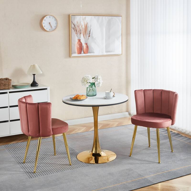 Modern 2 Piece Velvet Kitchen Dining Chairs with Cushions, Gold Metal Legs, Backrest for Dining Room Kitchen Living Room Bedroom