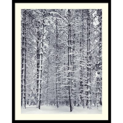 Framed Art Print 'Pine Forest in the Snow, Yosemite National Park' by Ansel Adams 25 x 31-inch