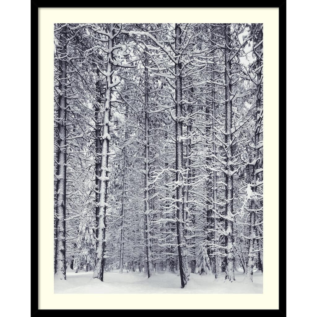 Framed Art Print 'Pine Forest in the Snow, Yosemite National Park' by Ansel Adams 25 x 31-inch
