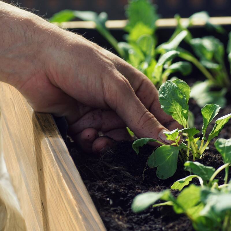 VEIKOUS Wood Raised Garden Bed Elevated Planter Box with Drainage Holes