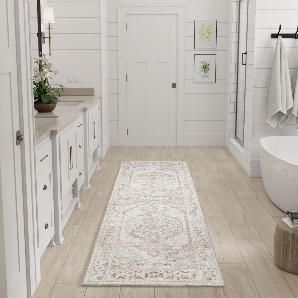 Nourison Astra Machine Washable Distressed Area Rug