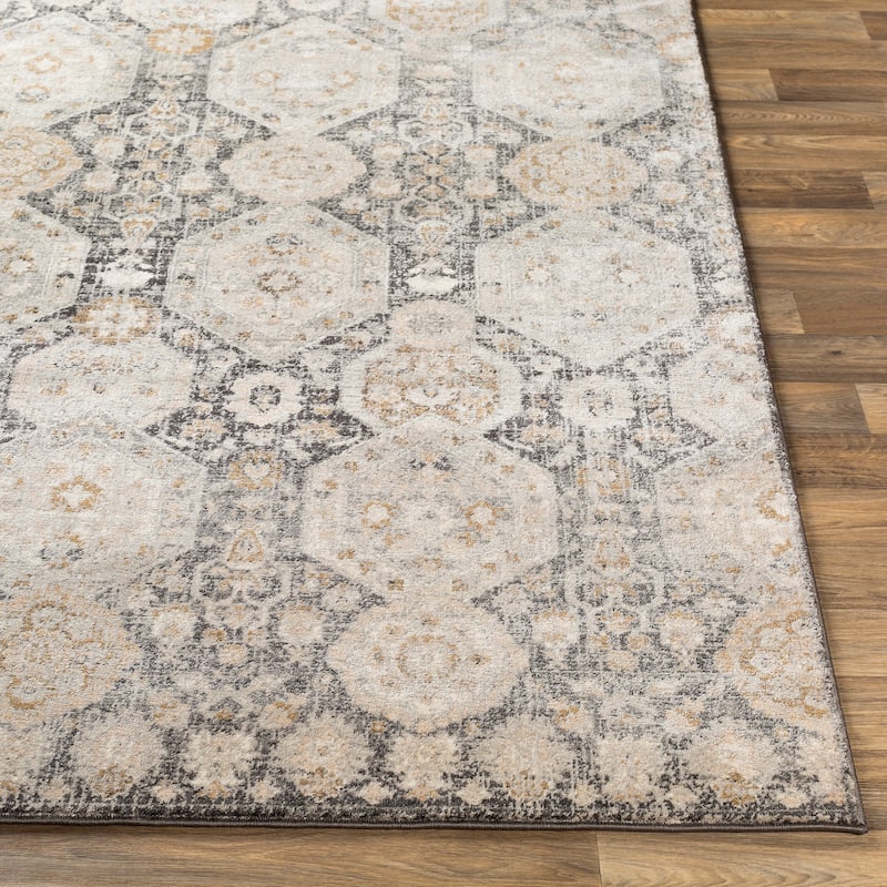 Livabliss Appingedam Vintage Medallion Area Rug