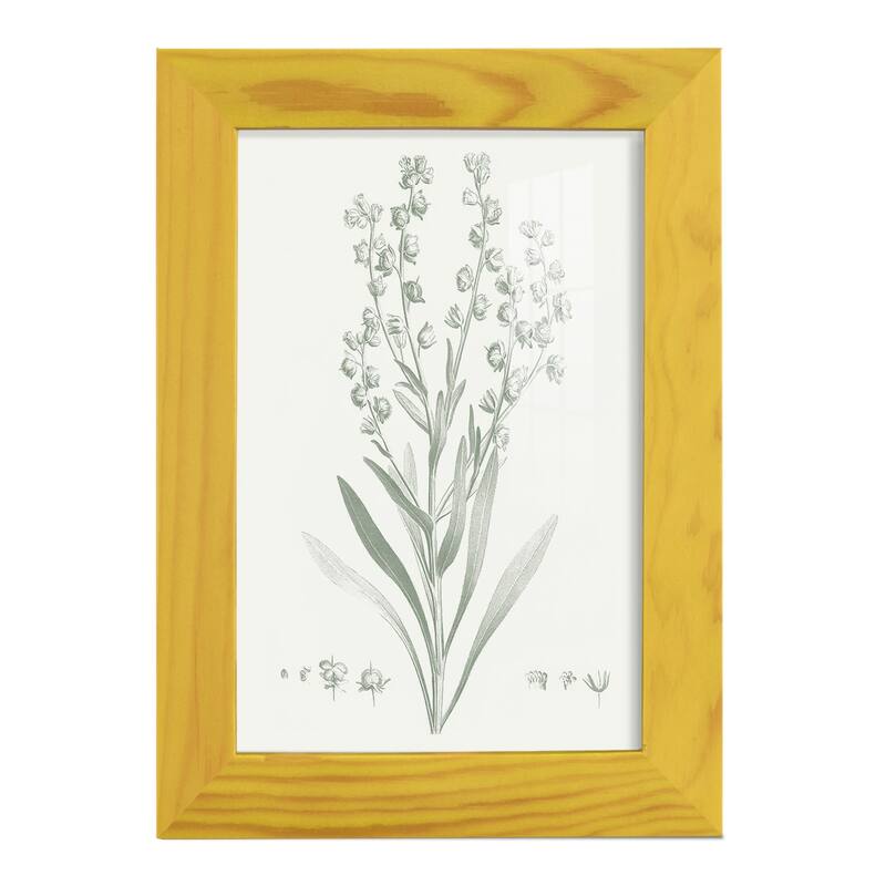 Botanical Study in Sage I -Framed Print w/glass-Cherry Red