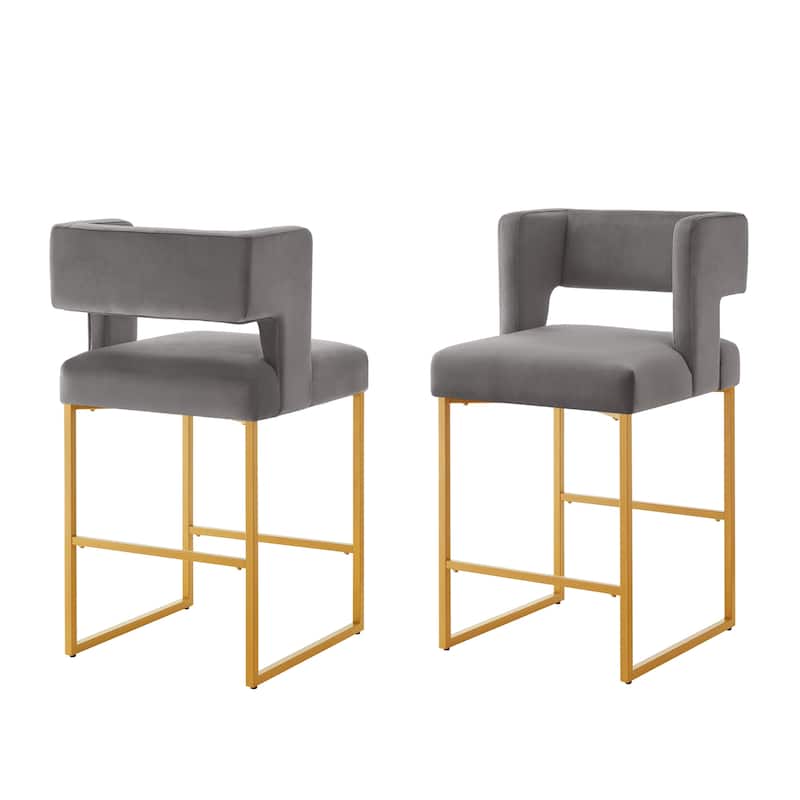 Modern Fashion Counter Height Bar Stools Set of 2
