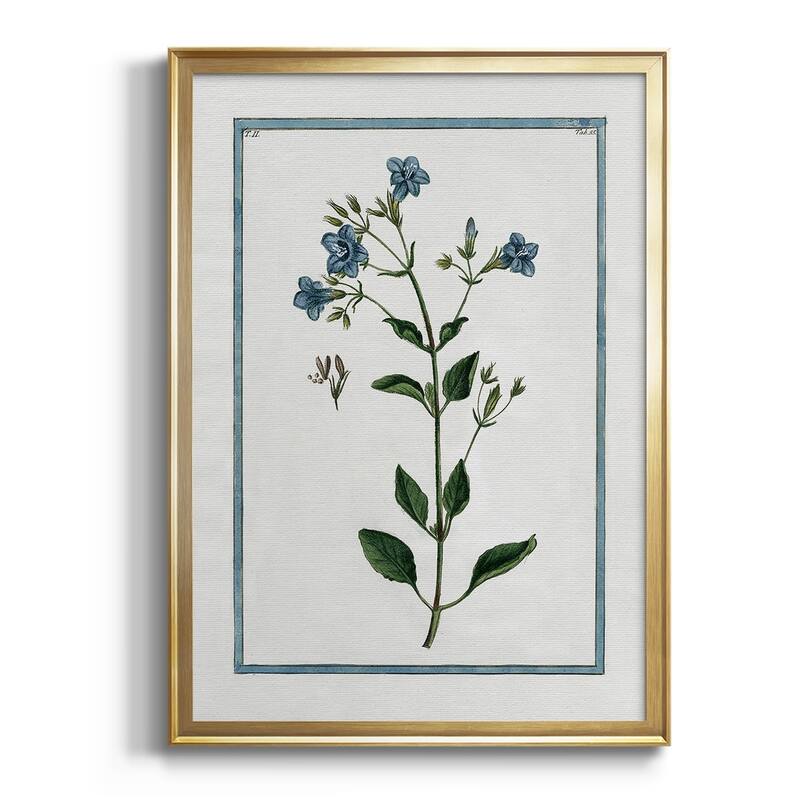 Shabby Chic Botanical II Premium Framed Print - Ready to Hang - 30.5X42.5 - Gold