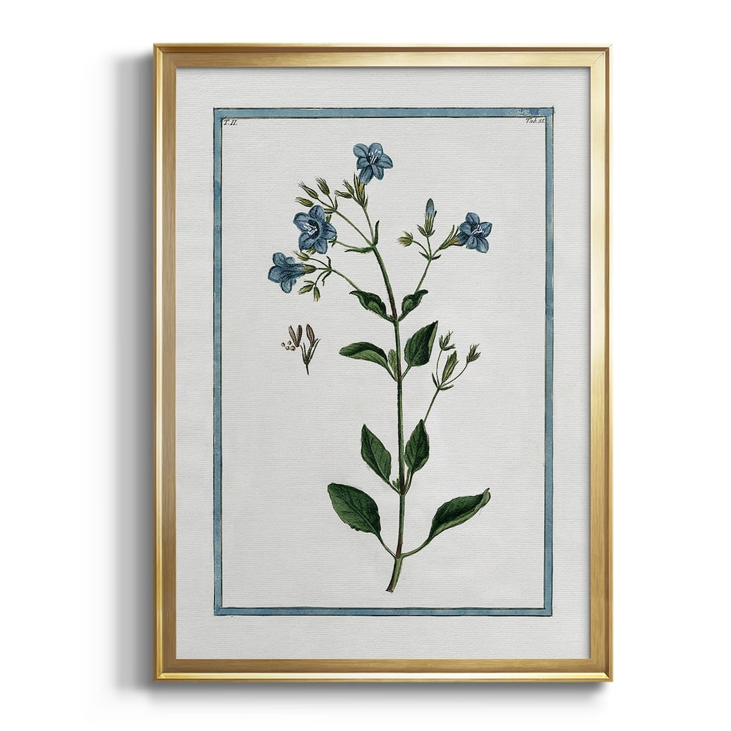 Shabby Chic Botanical II Premium Framed Print - Ready to Hang
