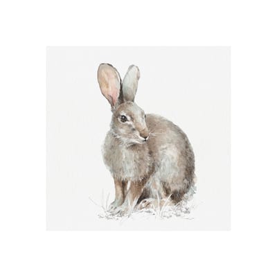 Forest Friends VIII (Hare) (30 x 30) Canvas Art Print