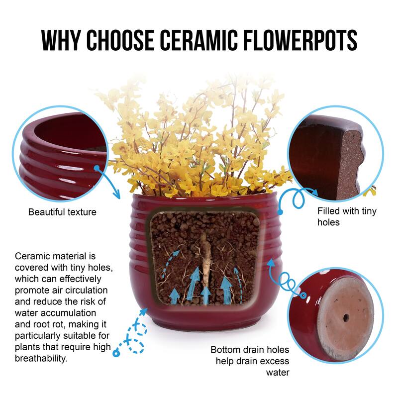 Indoor-Outdoor Handmade Ceramic Planter Set for Succulents and Cacti