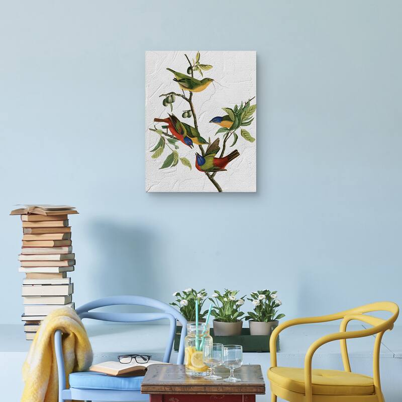 Audubon Painted Finch Texture by Design Lab Canvas Art Print