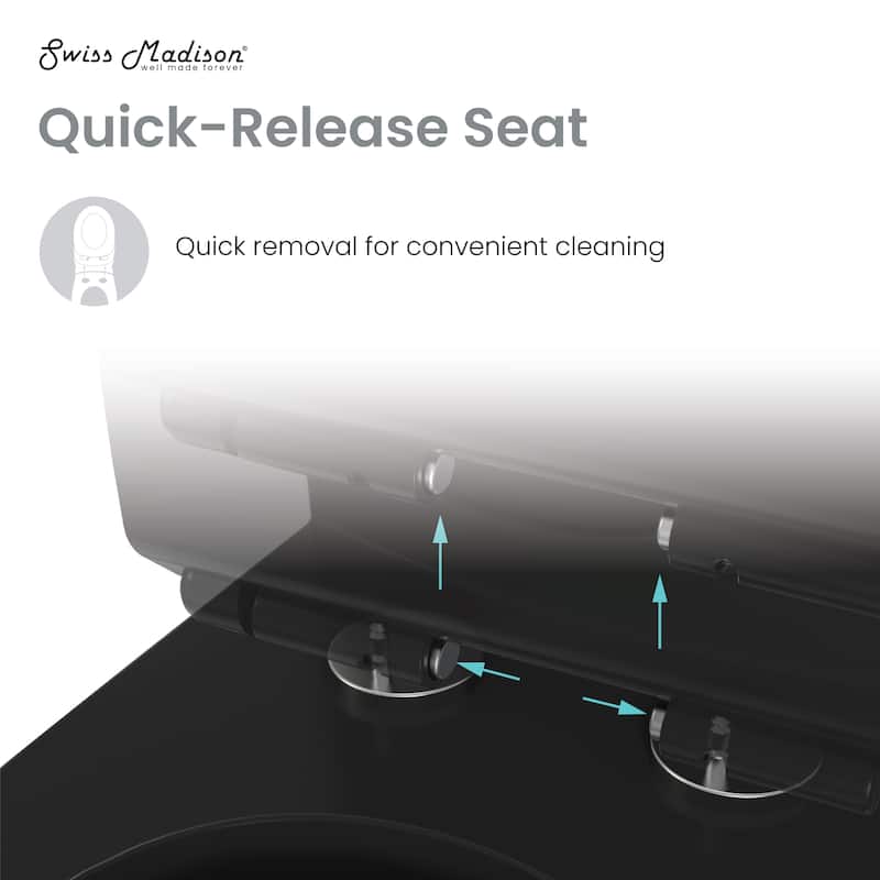Trocadero One-Piece Elongated Toilet Dual-Flush, Matte Black 1.1/1.6 Gpf - 27.55" x 14.55" 30.3"