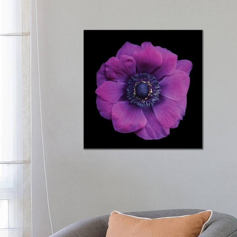 iCanvas "Vivace" by Magda Indigo Canvas Print - 26x26x1.5