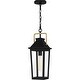 preview thumbnail 7 of 5, Buckley 1-Light Outdoor Hanging Lantern in Matte Black