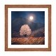 preview thumbnail 4 of 18, iCanvas "Lone Tree And Full Moon II" by Viviana Gonzalez Walnut - 16x16x1
