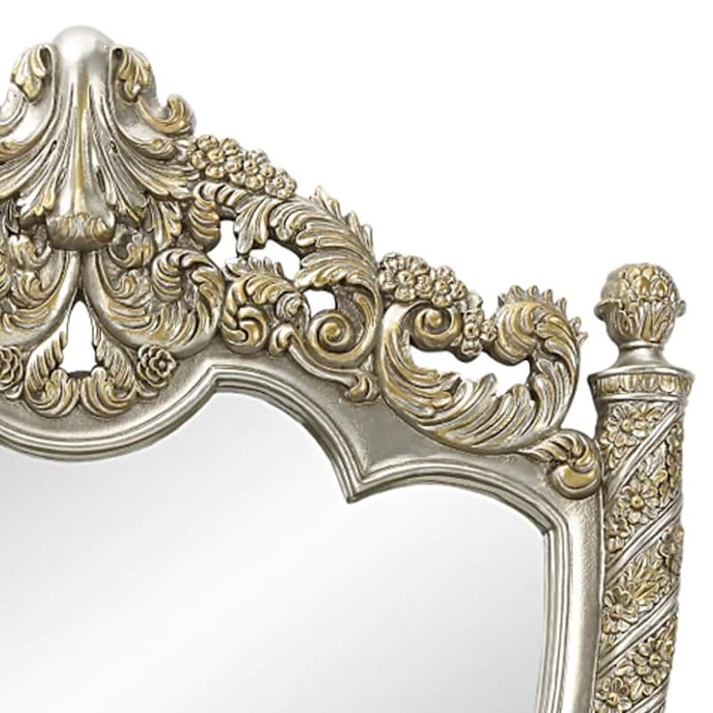 Mas 59 Inch Classic Wood Mirror, Ornate Carved Frame, Champagne Gold