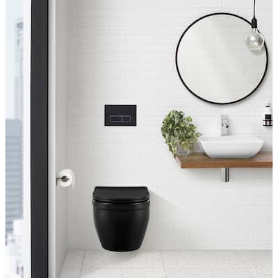 Wall Mount Dual Flush Actuator Plate with Rectangle Push Buttons