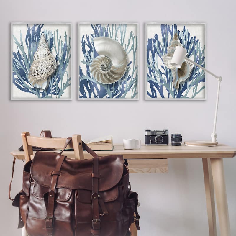 Stupell Trio of Shell Coral Blue Beach Design, 3pc Multi Piece Framed Wall Art Set